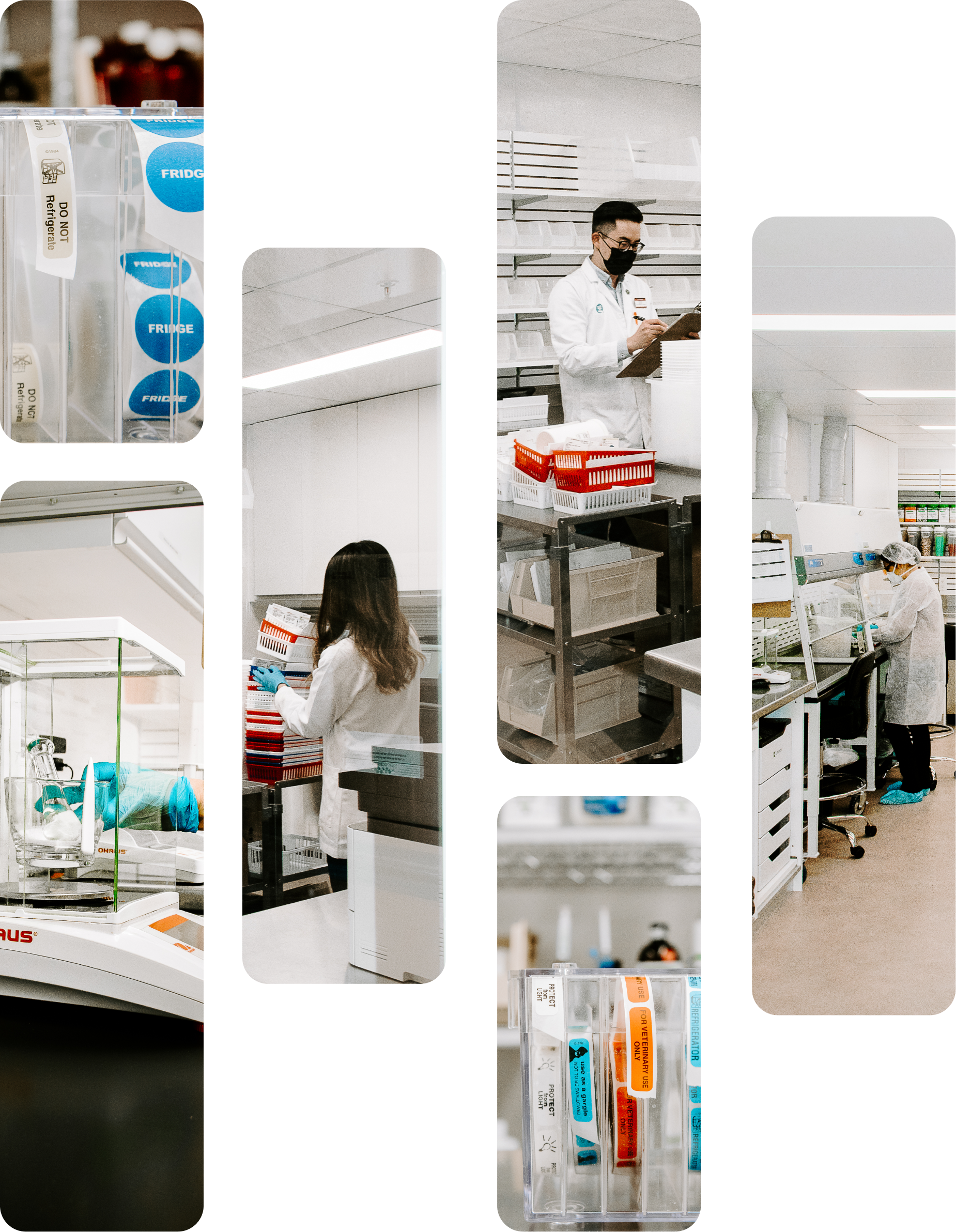 Shopper's Drug Mart Team